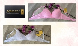 BIUSTONOSZ NADIZI''A''C''