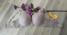 BIUSTONOSZ NADIZI''E''