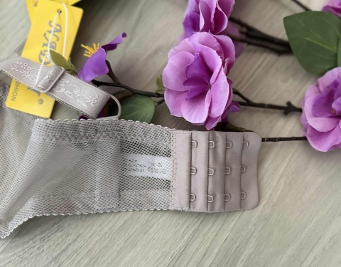 BIUSTONOSZ NADIZI''E''